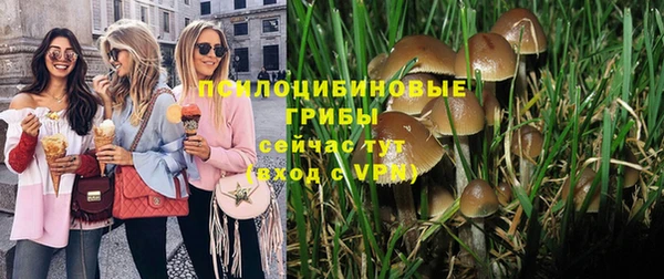 мдпв Елизово