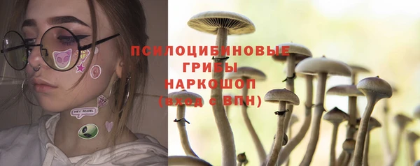 мдпв Елизово