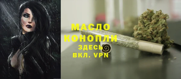 мдпв Елизово
