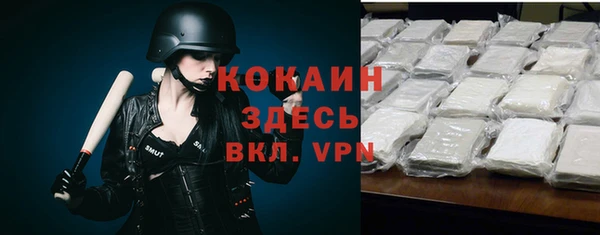 мдпв Елизово