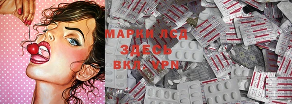 эйфоретик Ельня