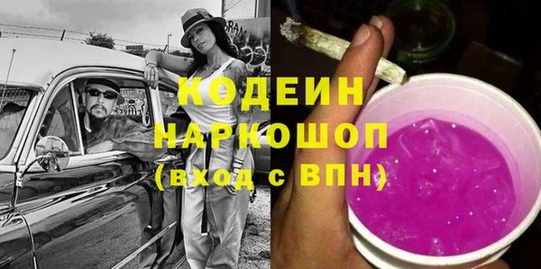 мдпв Елизово