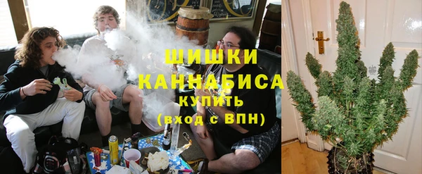 эйфоретик Ельня