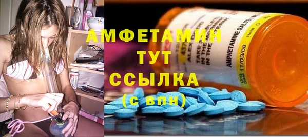 эйфоретик Ельня