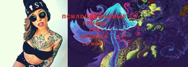 эйфоретик Ельня