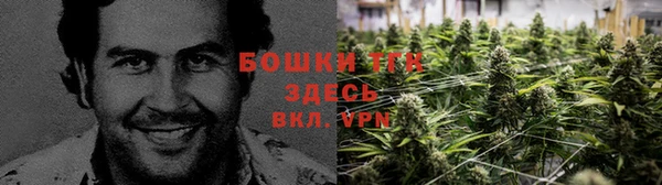 мдпв Елизово